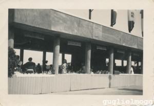 Prima Mostra della fragola, gli stand degli espositori Prima Mostra della fragola, gli stand degli espositori